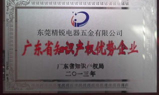 知識產(chǎn)權(quán)優(yōu)勢企業(yè)
