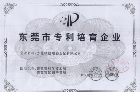專利培育企業(yè)